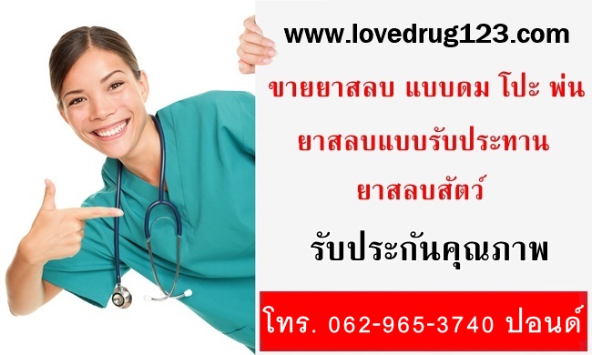 ยาสลบ - ขายยาเสียสาว ทิงเจอร์ขาว ยาปลุกsex ยาปลุกอารมณ์ผู้หญิง แมลงวัน ... ยาสลบ - ขายยาเสียสาว ทิงเจอร์ขาว ยาปลุกSex ยาปลุกอารมณ์ผู้หญิง แมลงวัน ...